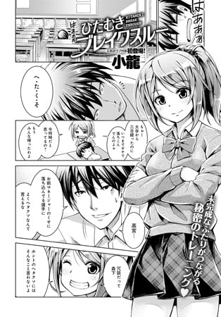 BJ089880 ひたむきブレイクスルーのサムネイル