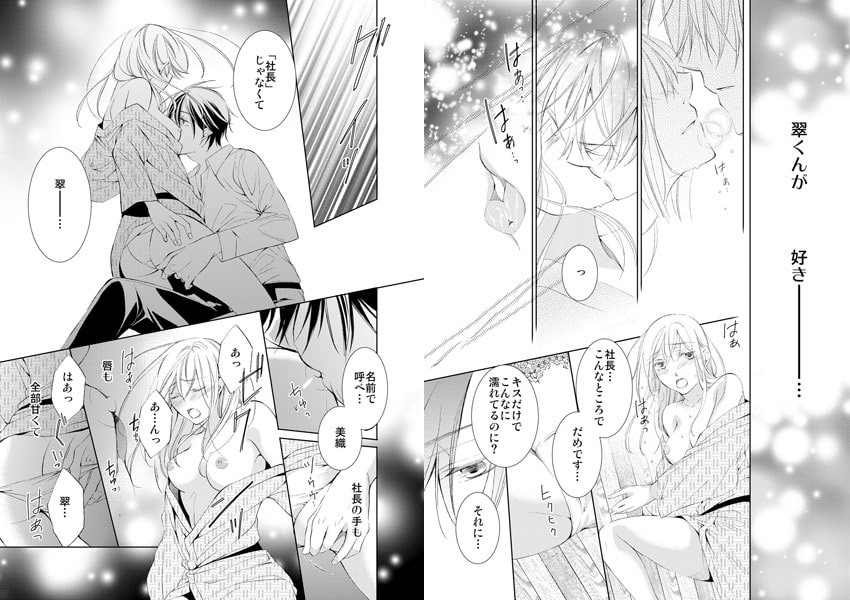 【セット売り】強○結婚。花嫁はドS社長の下僕 2巻 画像1