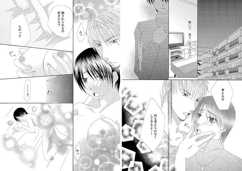 籠の中の二人~あの日から、私は弟の玩具になった~(3) 画像1