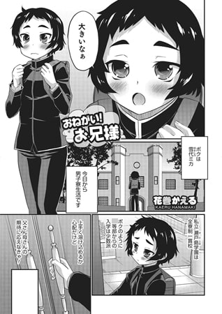 BJ090435 おねがい! お兄様のサムネイル