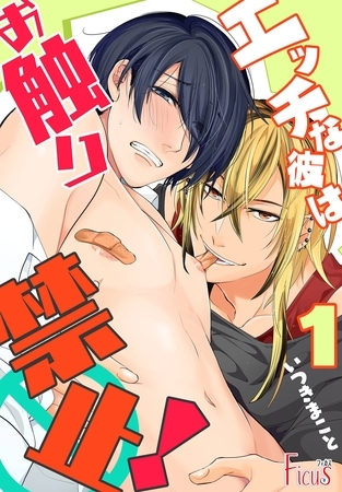 エッチな彼はお触り禁止！ [シーモアコミックス]