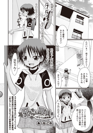 兄ちゃん専用 ～兄ちゃん開発編～