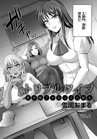 BJ099746 トリプルワイフ ～僕を魅了する3人の娼女～ VOL.1のサムネイル