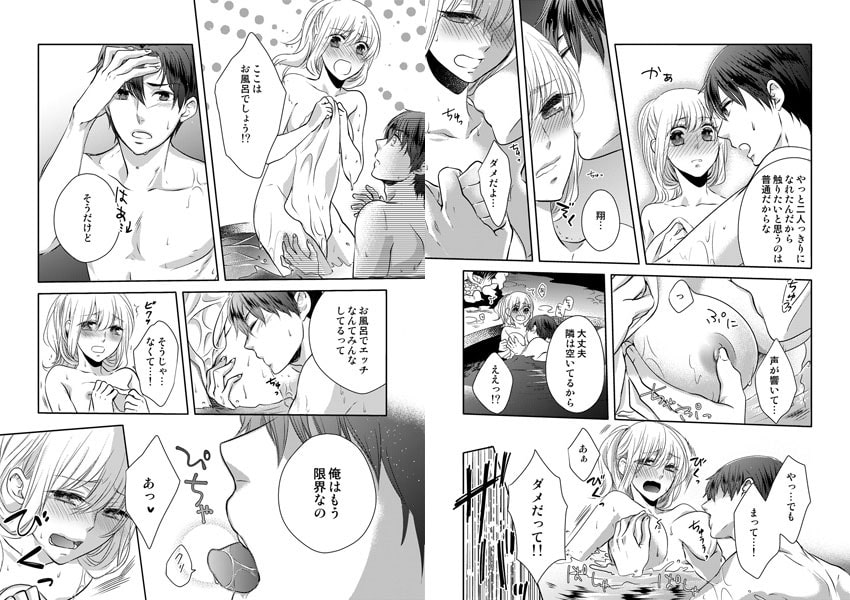 弟はミダラな野獣~誰にも言えないヒミツの放課後~(4) 画像2