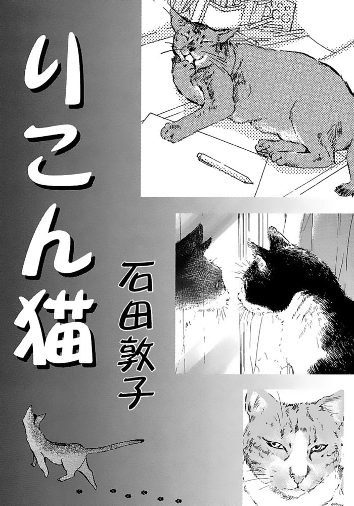 りこん猫 少年画報社 Dlsite Comipo りこん猫 少年画報社 Dlsite Comipo