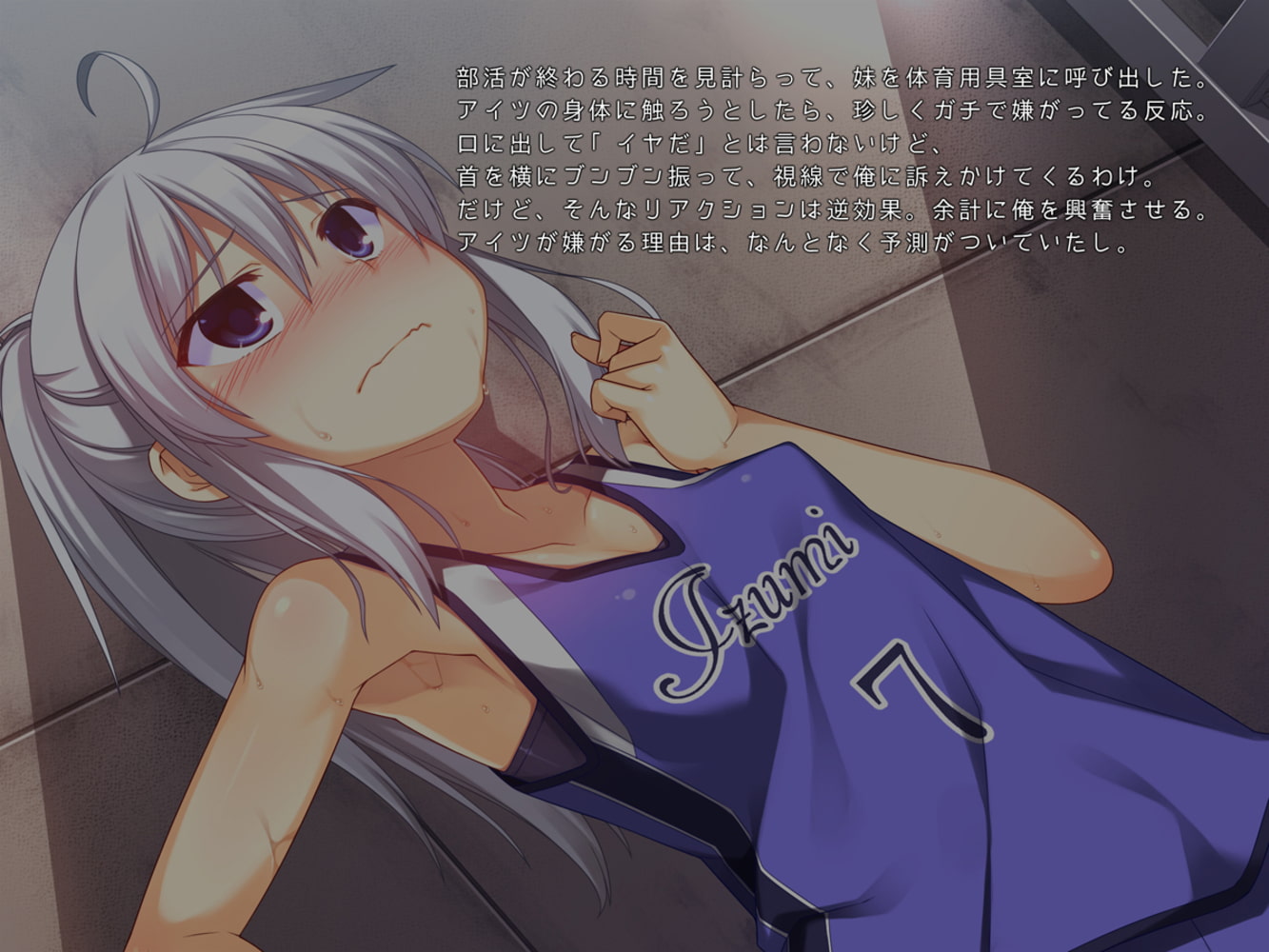 お兄ちゃんの半分は欲望でできています2