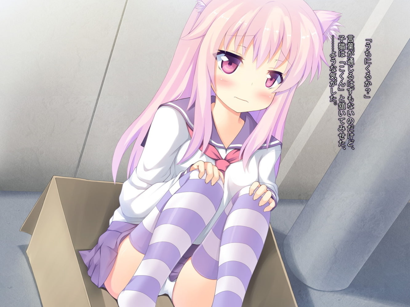 ご主人様もう我慢できないの ご主人様もう我慢できないの