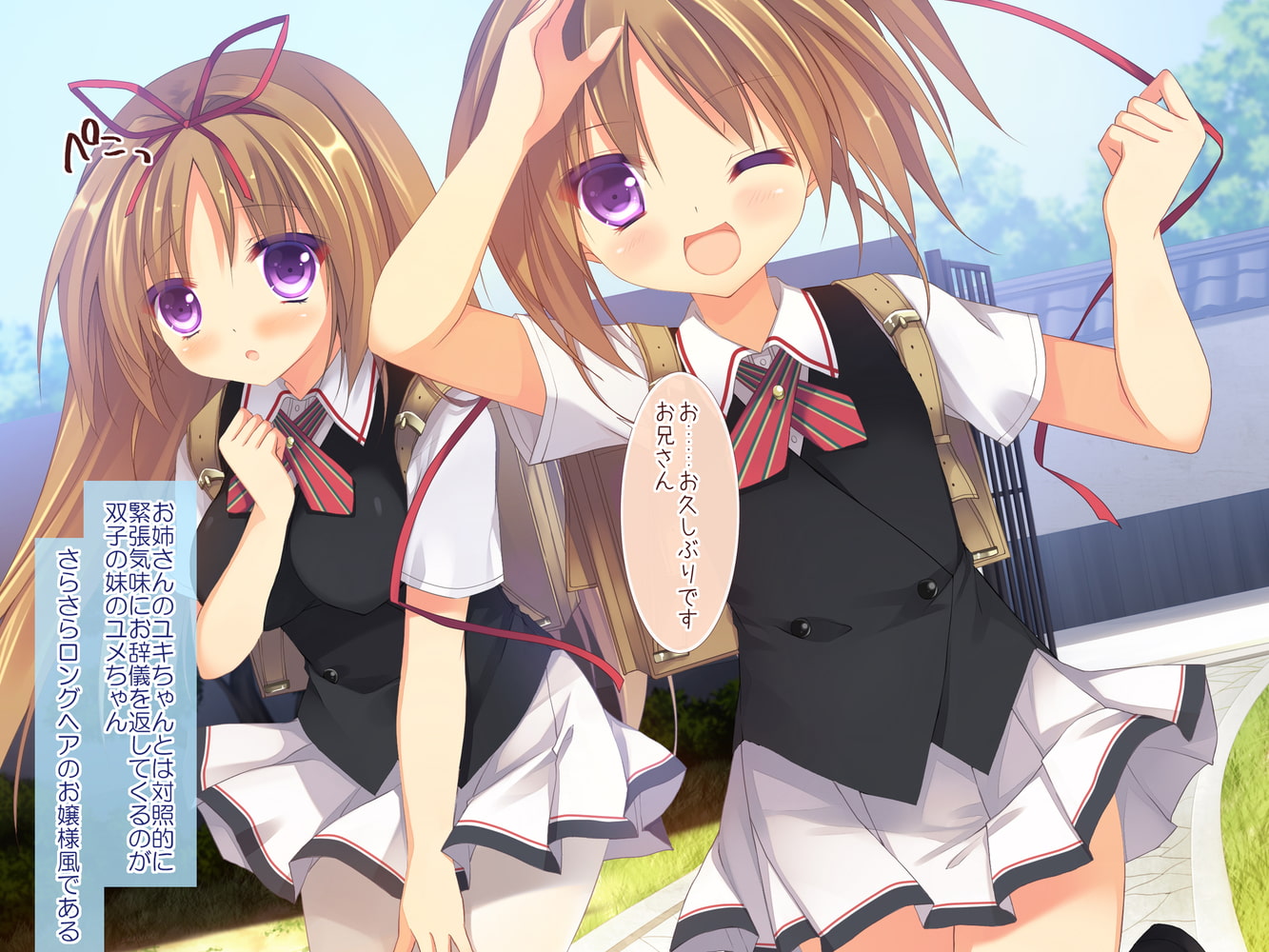 ボクと双子ちゃんの夏休みの過ごし方 ボクと双子ちゃんの夏休みの過ごし方