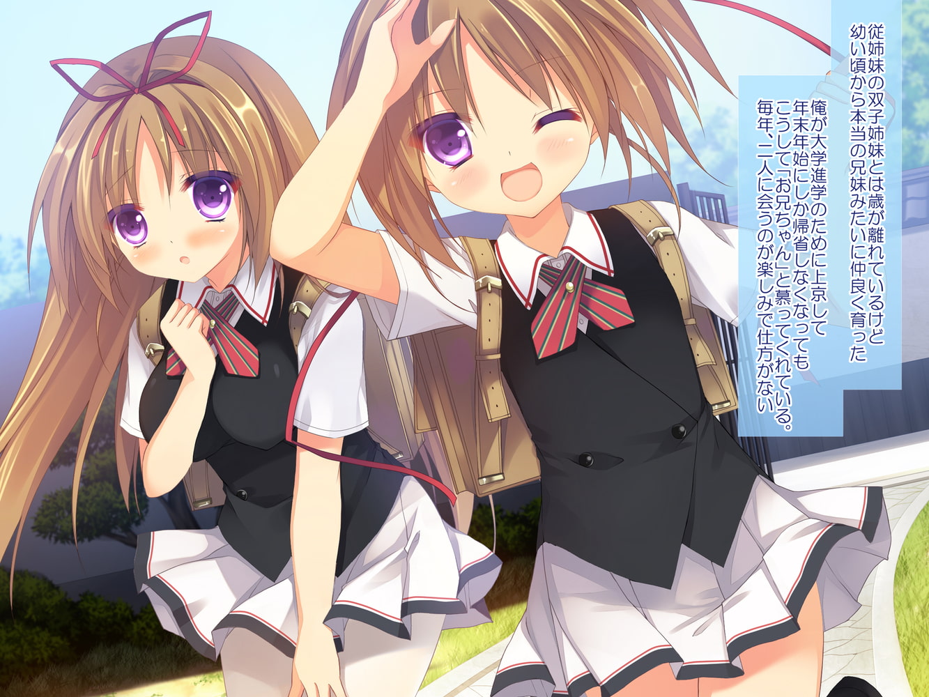 ボクと双子ちゃんの夏休みの過ごし方 ボクと双子ちゃんの夏休みの過ごし方