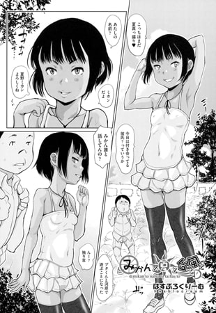 BJ120112 みかんと夏と台風とのサムネイル
