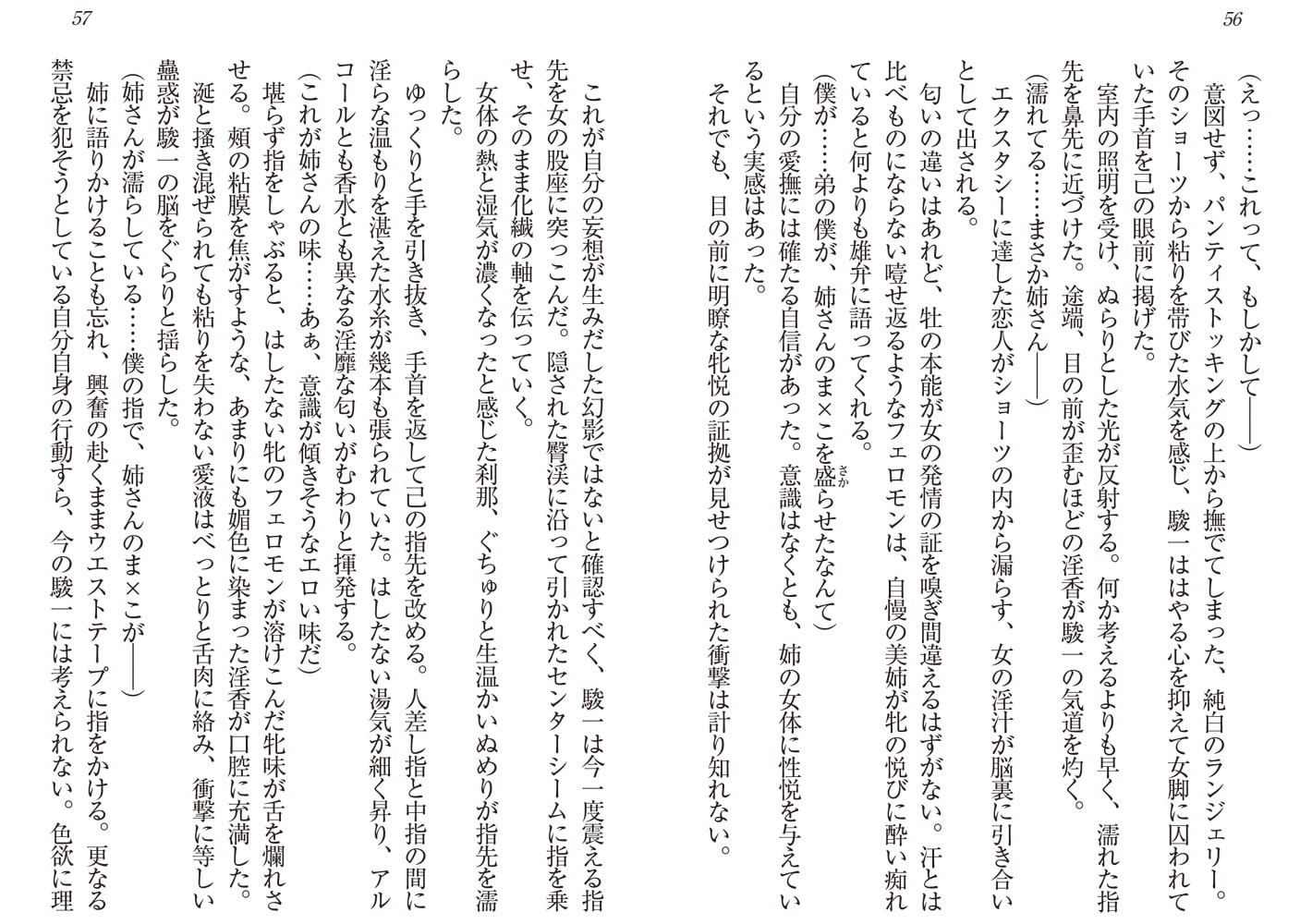 二十八歳の義姉【初夜】