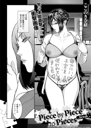 Piece by Piece to Pieces _break