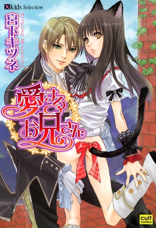 愛するお兄さん [笠倉出版社]