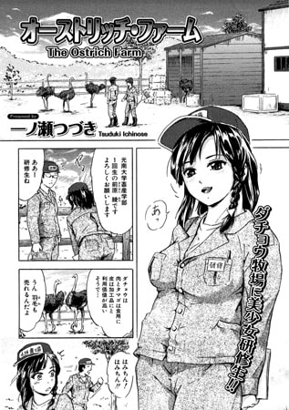 BJ143697 オーストリッチ・ファームのサムネイル