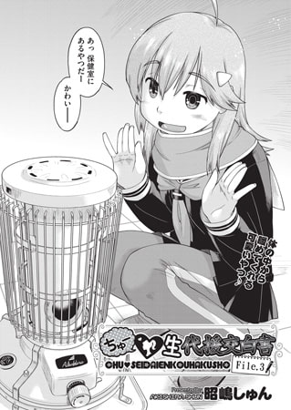 ちゅー 生代援交白書 File.3のタイトル画像