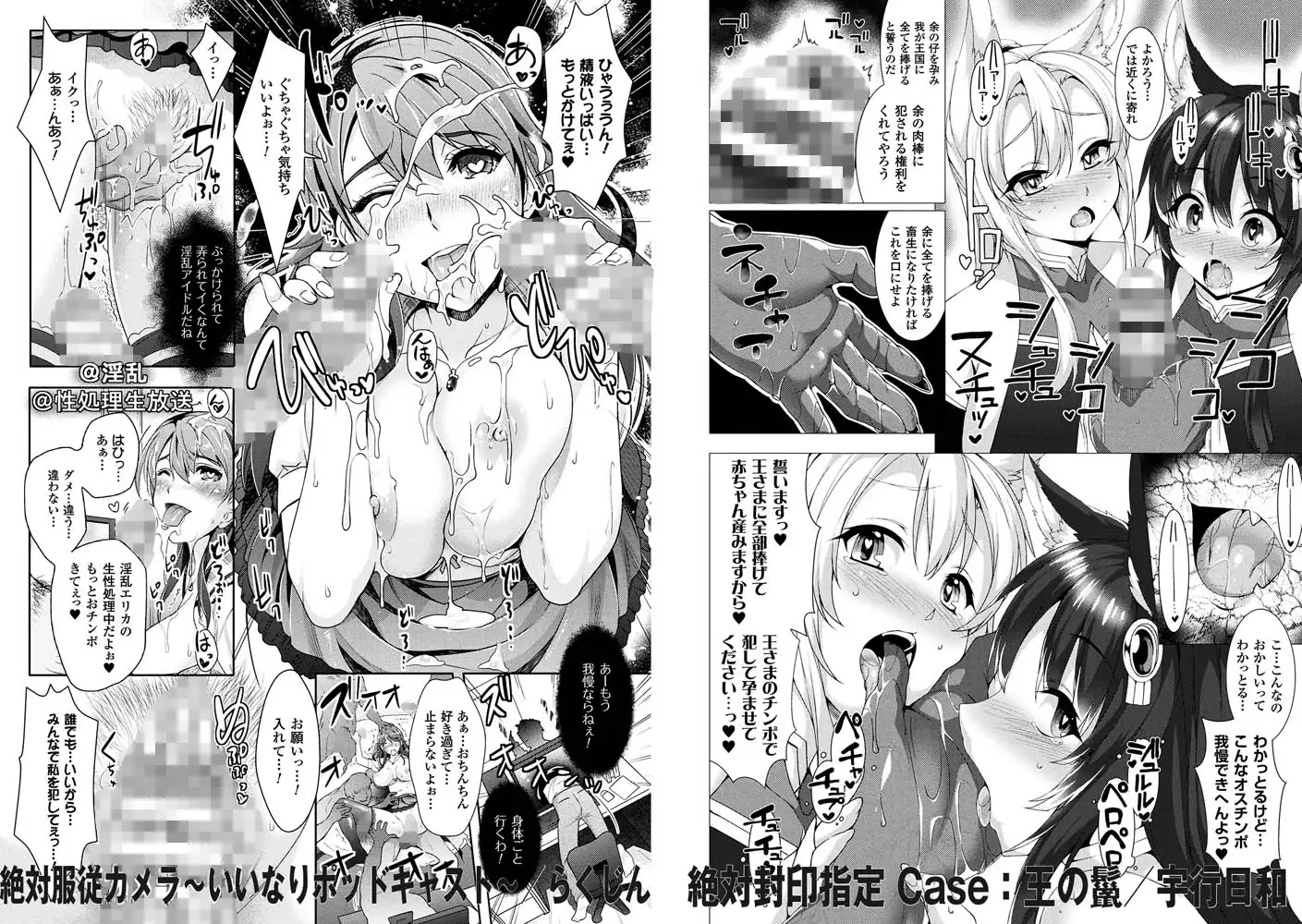 sub-image_2