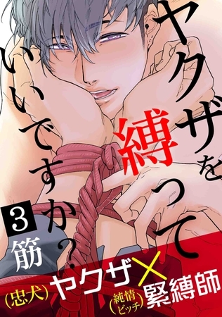 ヤクザを縛っていいですか？　３ [メディアソフト]