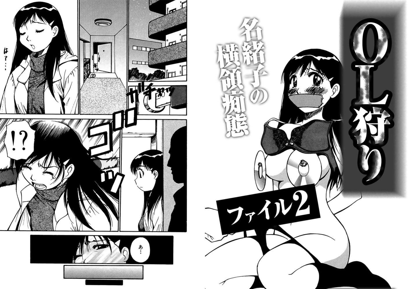OL狩りファイル２～名緒子の横領痴態～
