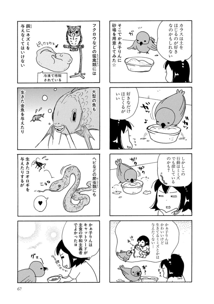 カラス飼っちゃいました 分冊版 第4話 ぶんか社 Dlsite Comipo