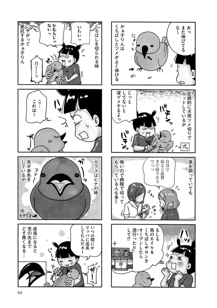 カラス飼っちゃいました 分冊版 第5話 ぶんか社 Dlsite Comipo