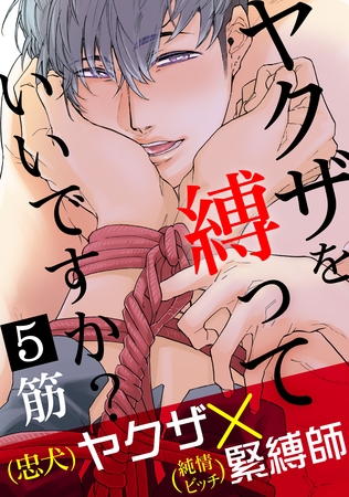 ヤクザを縛っていいですか？5 [メディアソフト]