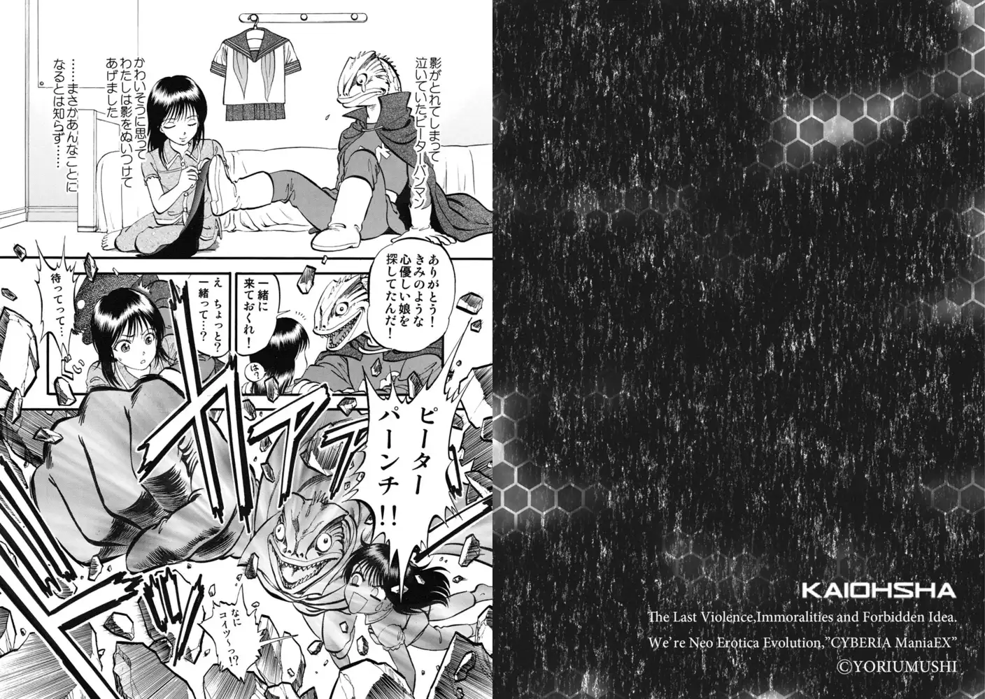 sub-image_0