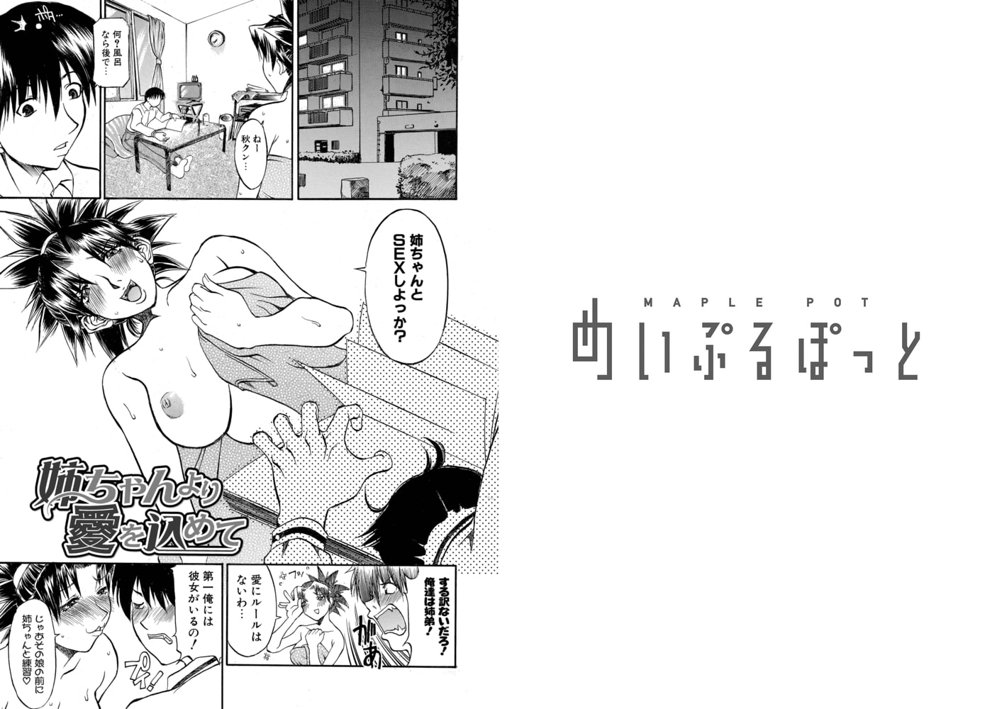 姉ちゃんより愛を込めて