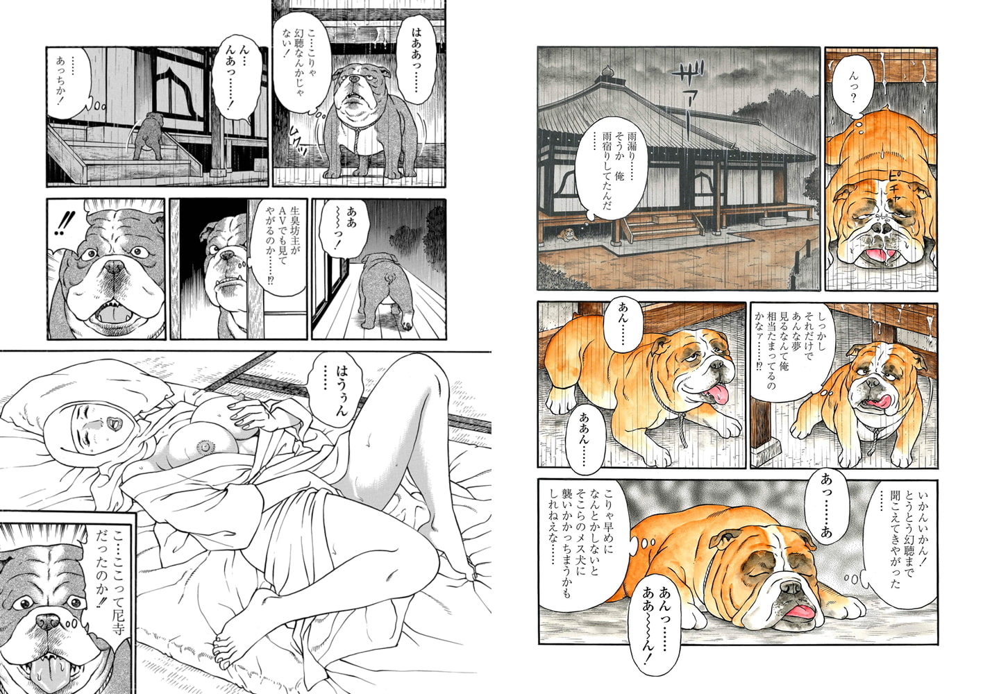 わんダフルライフ（単話）6