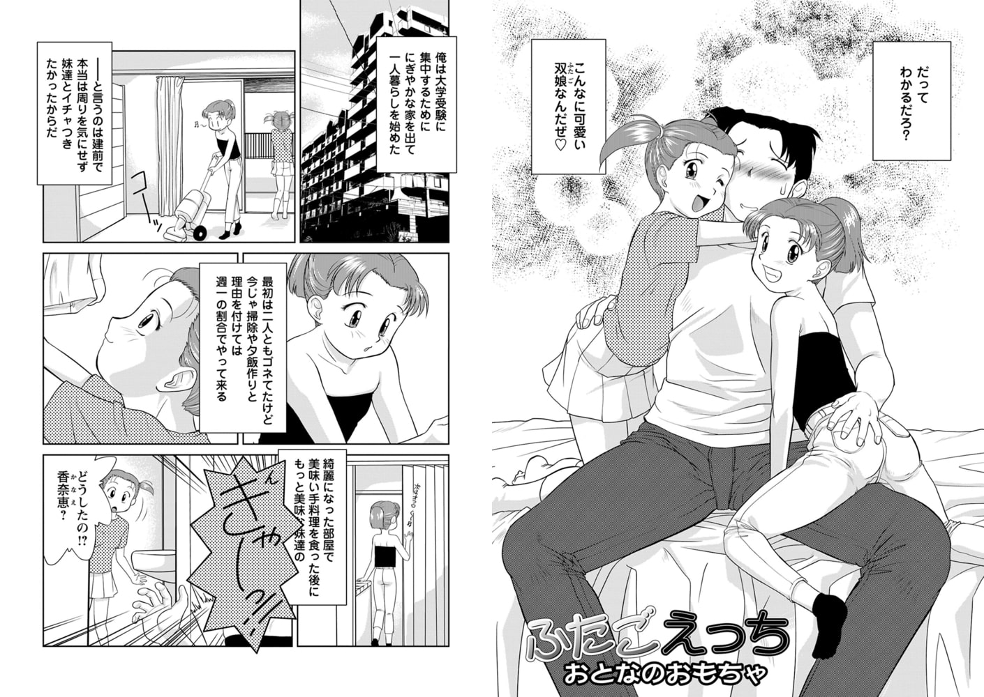 ふたごえっち おとなのおもちゃ