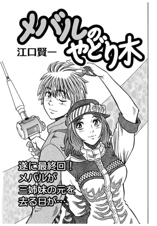 メバルのやどり木 最終回 辰巳出版 Dlsite Comipo