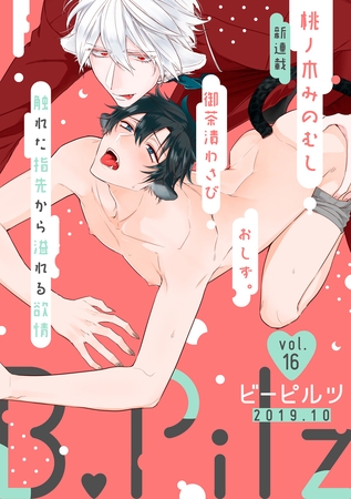 B.Pilz　ｖｏｌ．16 [ブライト出版]