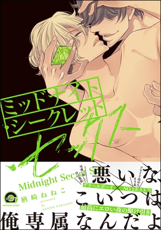ミッドナイト・シークレット・セックス【電子限定かきおろし漫画付】 [海王社]