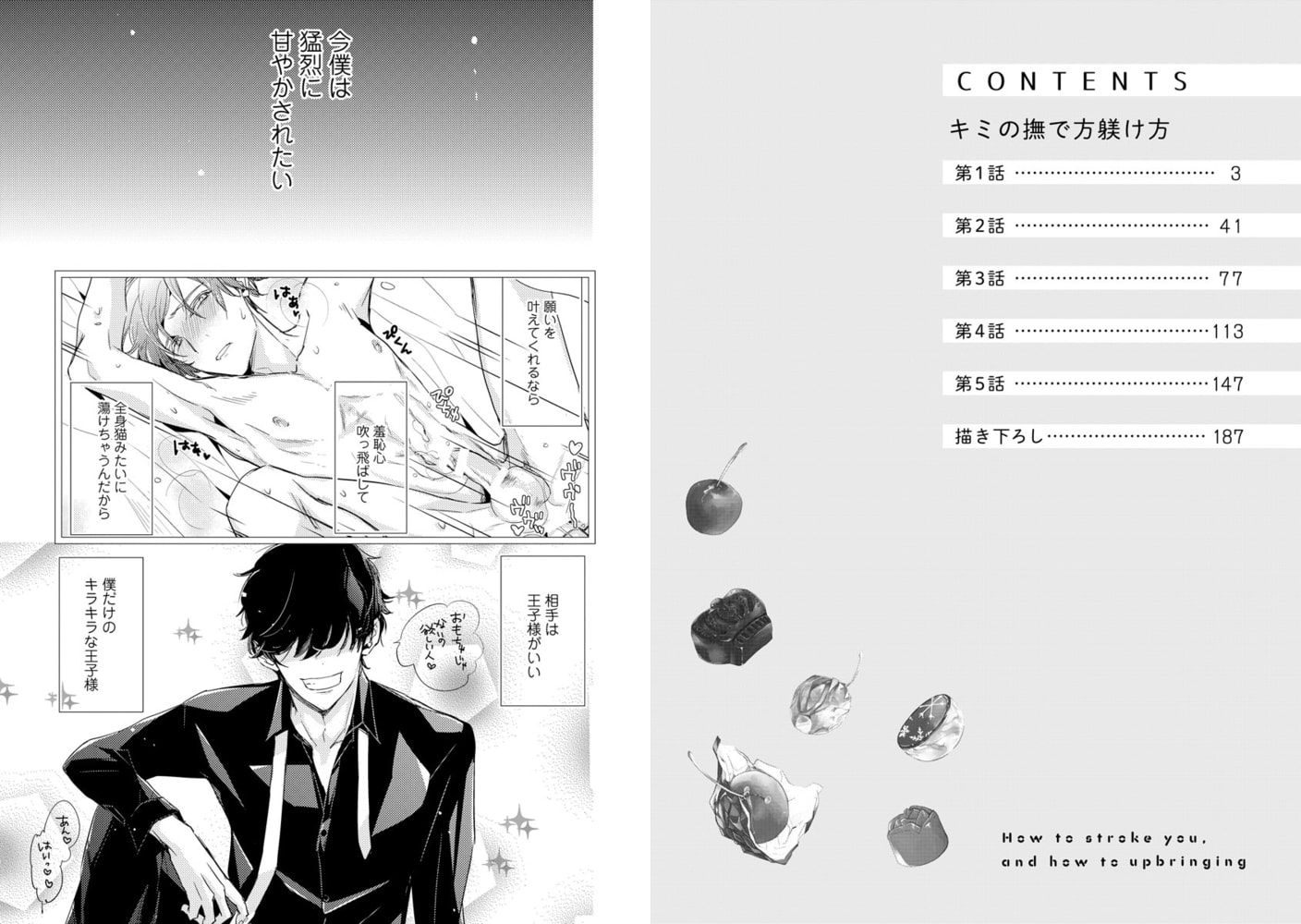 キミの撫で方躾け方【電子限定かきおろし漫画付】