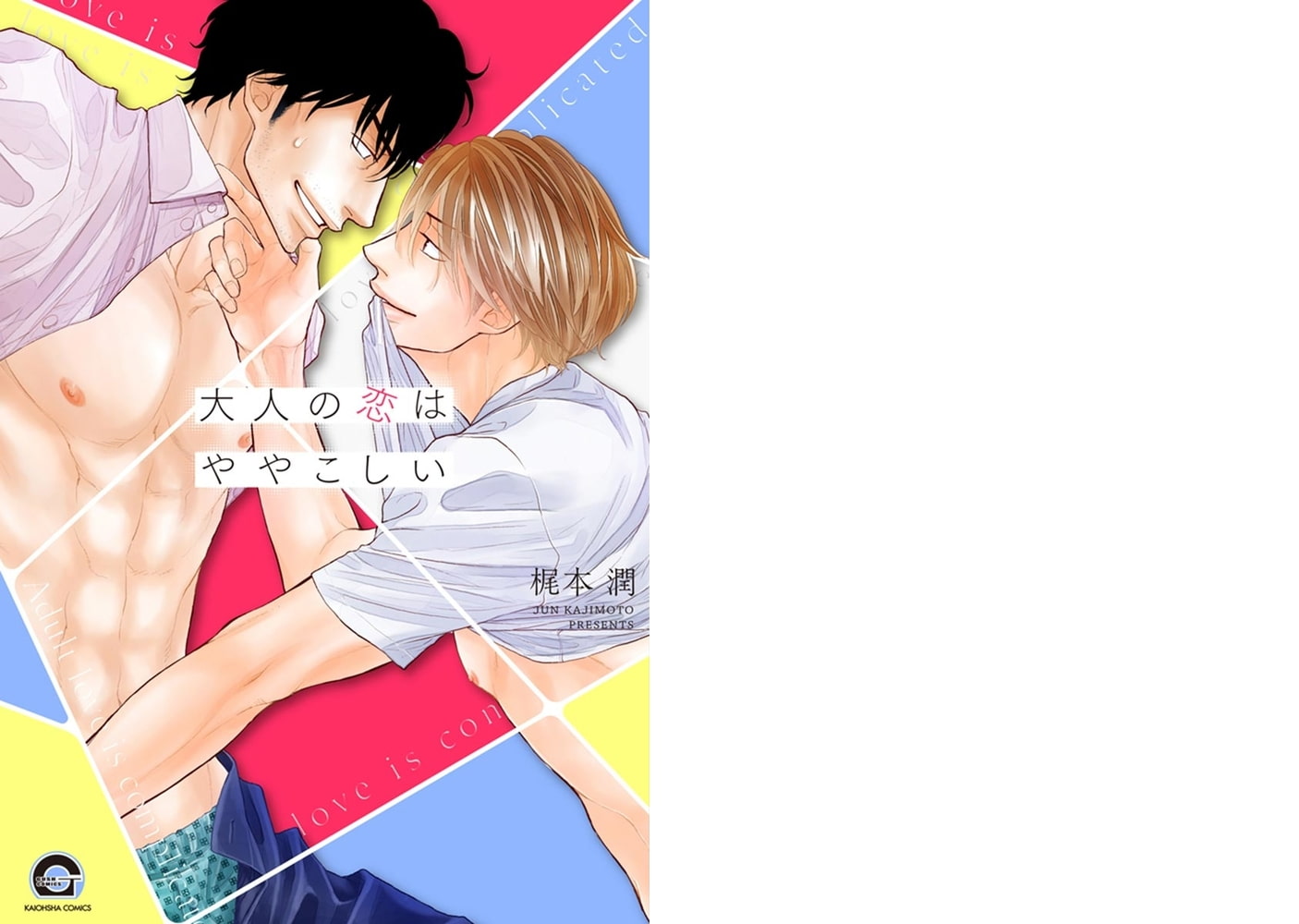 大人の恋はややこしい【電子限定かきおろし漫画付】 サンプル1