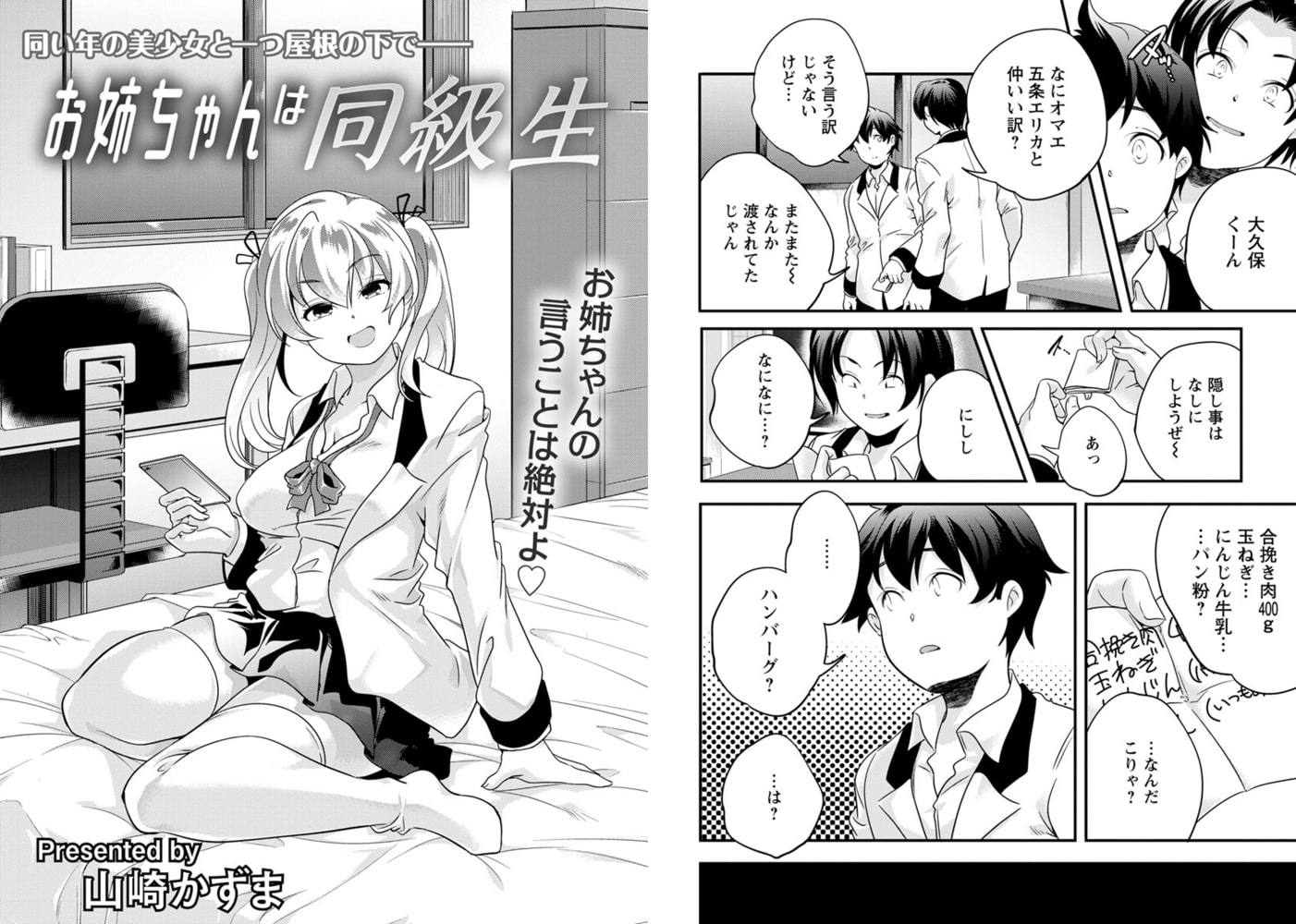 お姉ちゃんは同級生