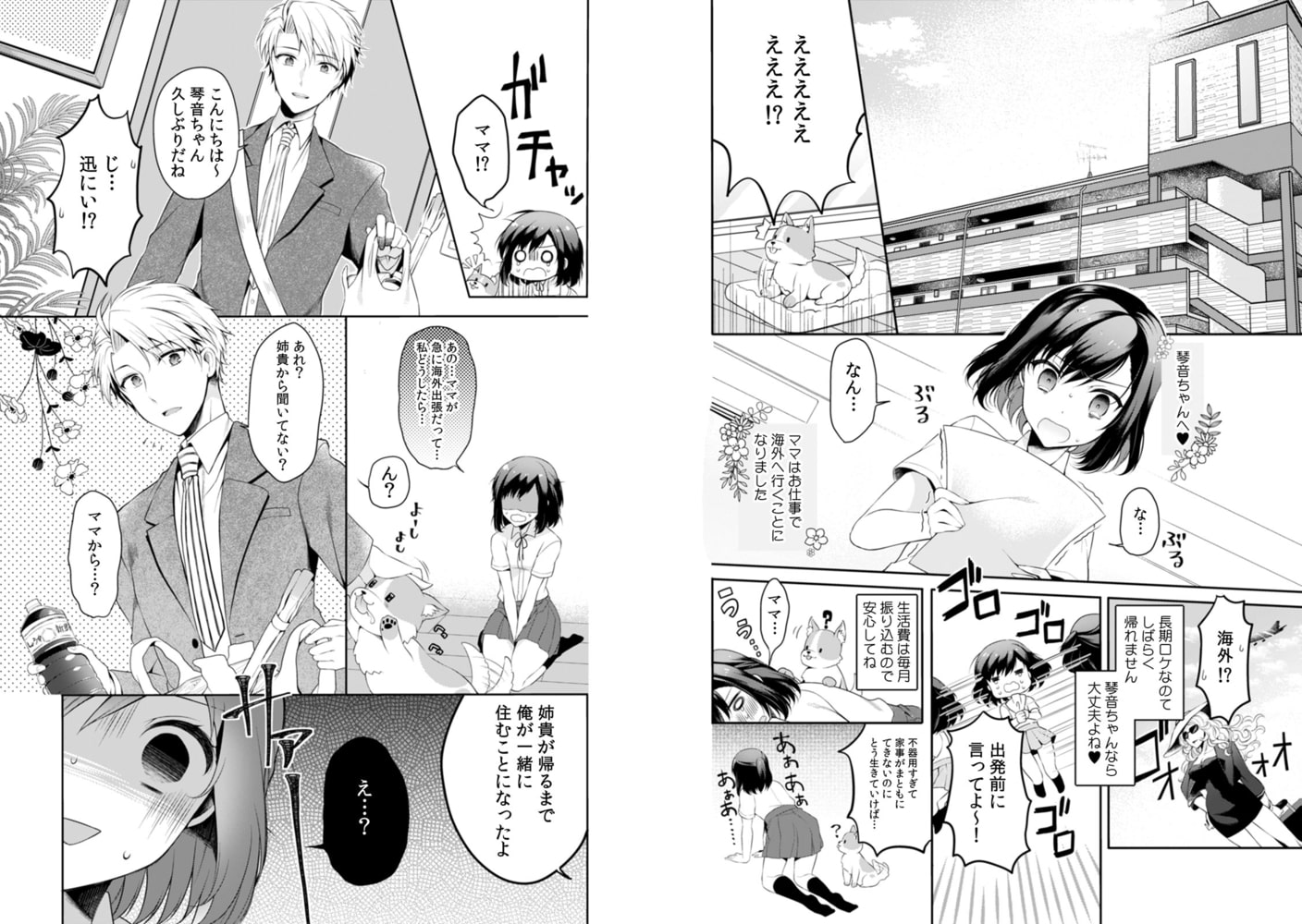 10年間想い続けてきた叔父さんに、今夜抱かれます… (1)