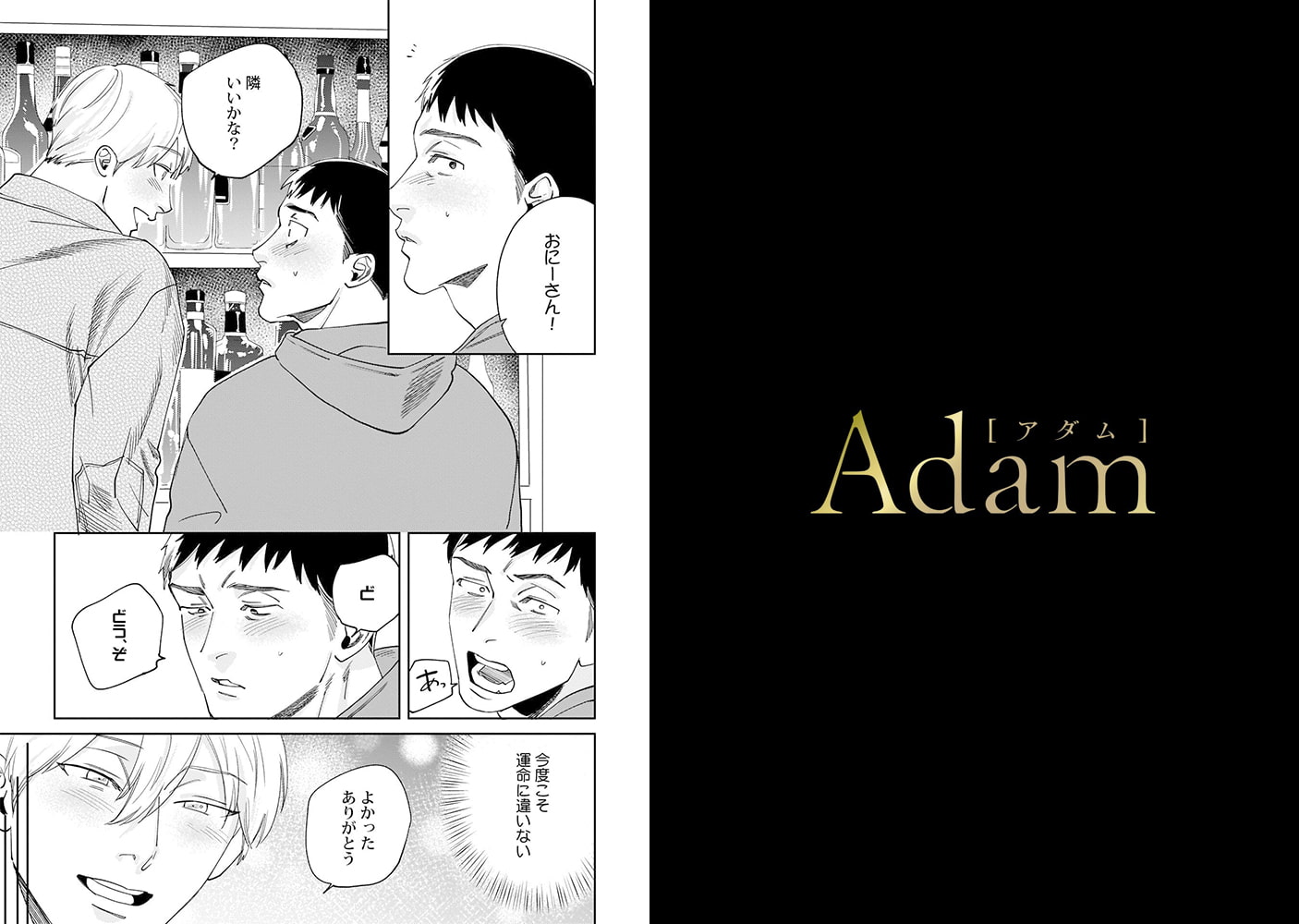 Adam volume.3【R18版】 画像2