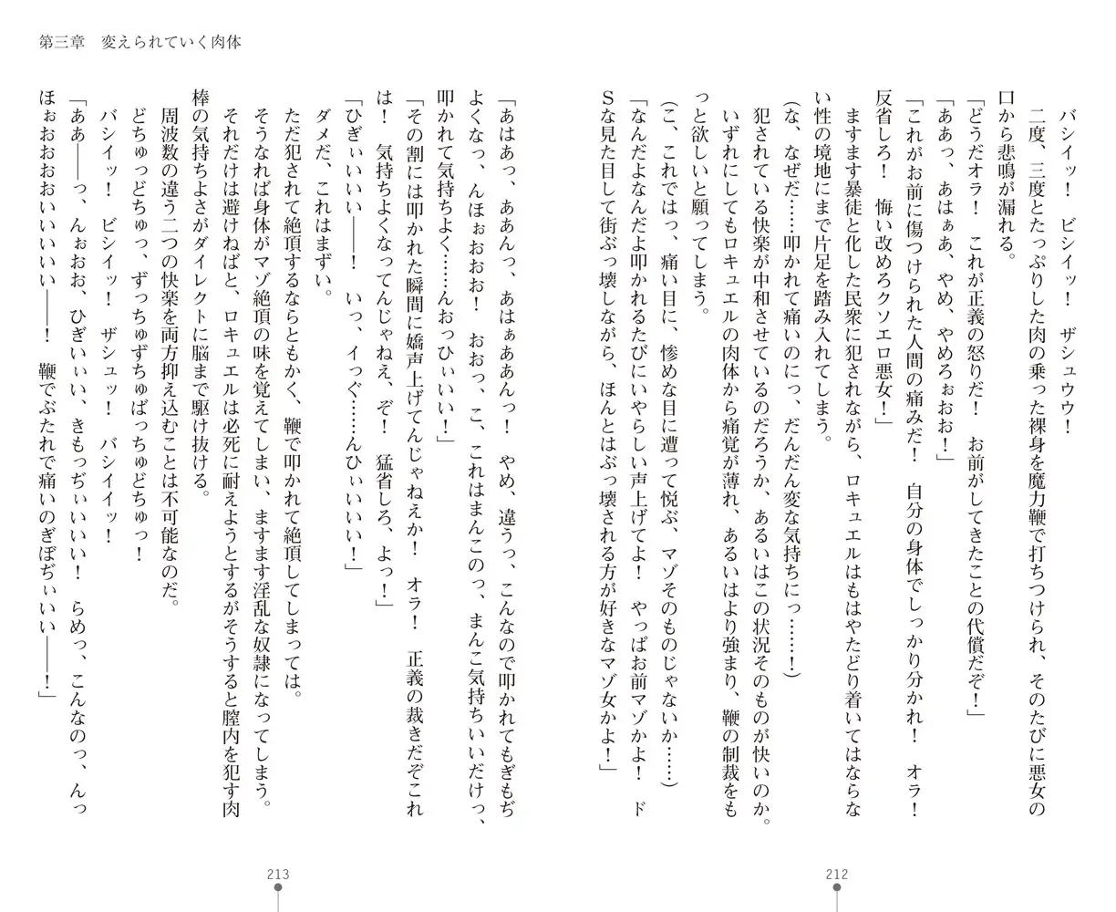 sub-image_13