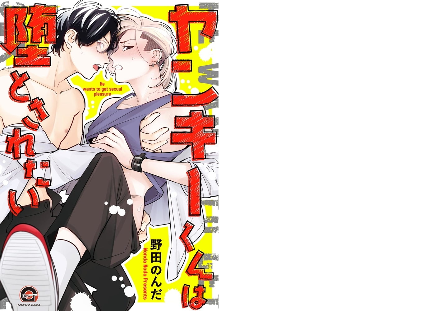 [野田のんだ]ヤンキーくんは堕とされたい