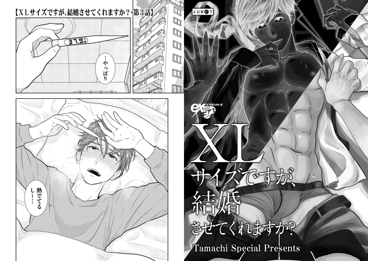 XLサイズですが、結婚させてくれますか? 第3話 [ジュネット] | DLsite がるまに