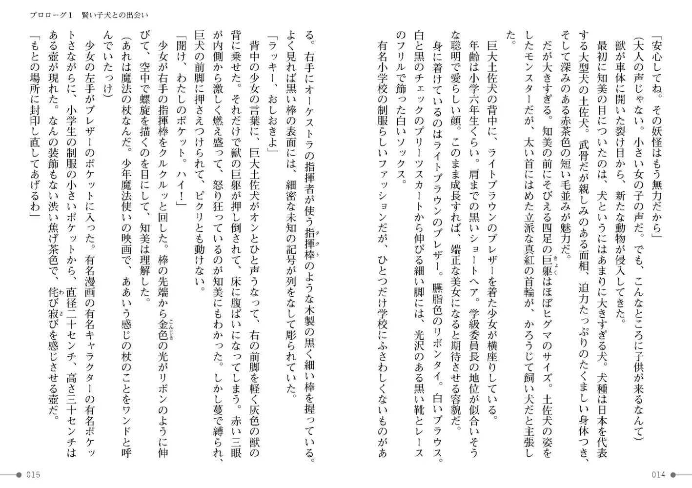 sub-image_6