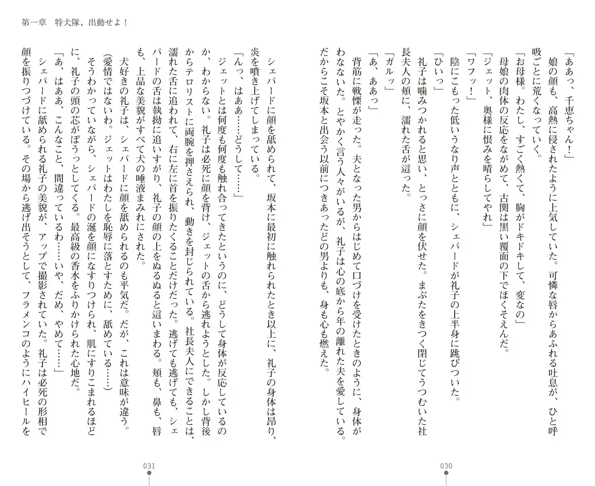 sub-image_13