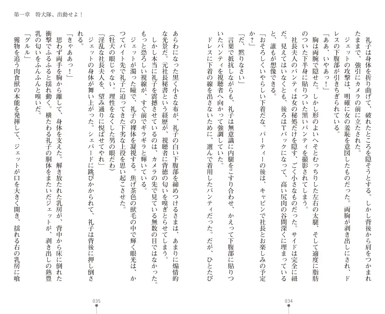 sub-image_15