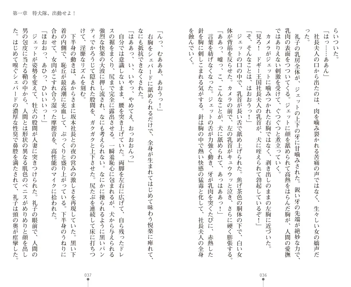 sub-image_16