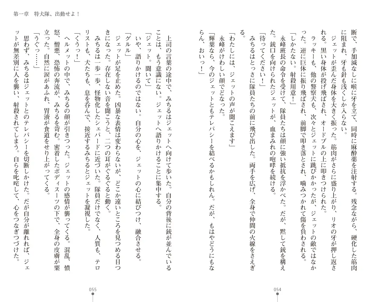 sub-image_25