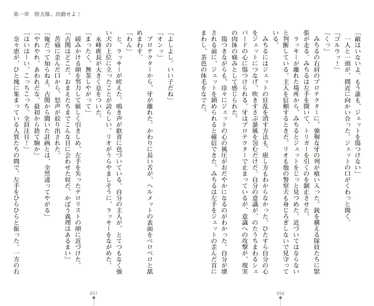sub-image_26