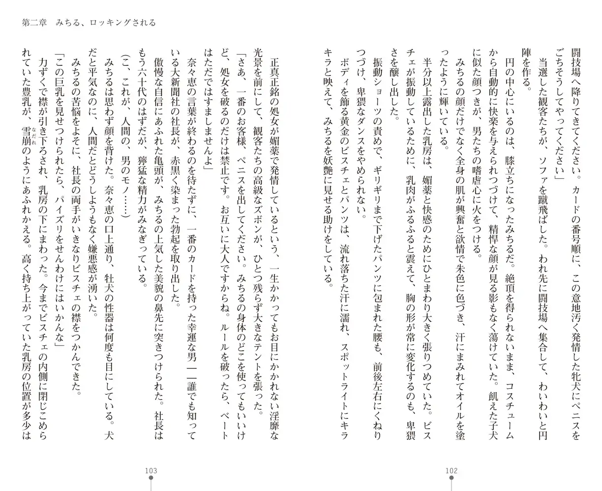 sub-image_29