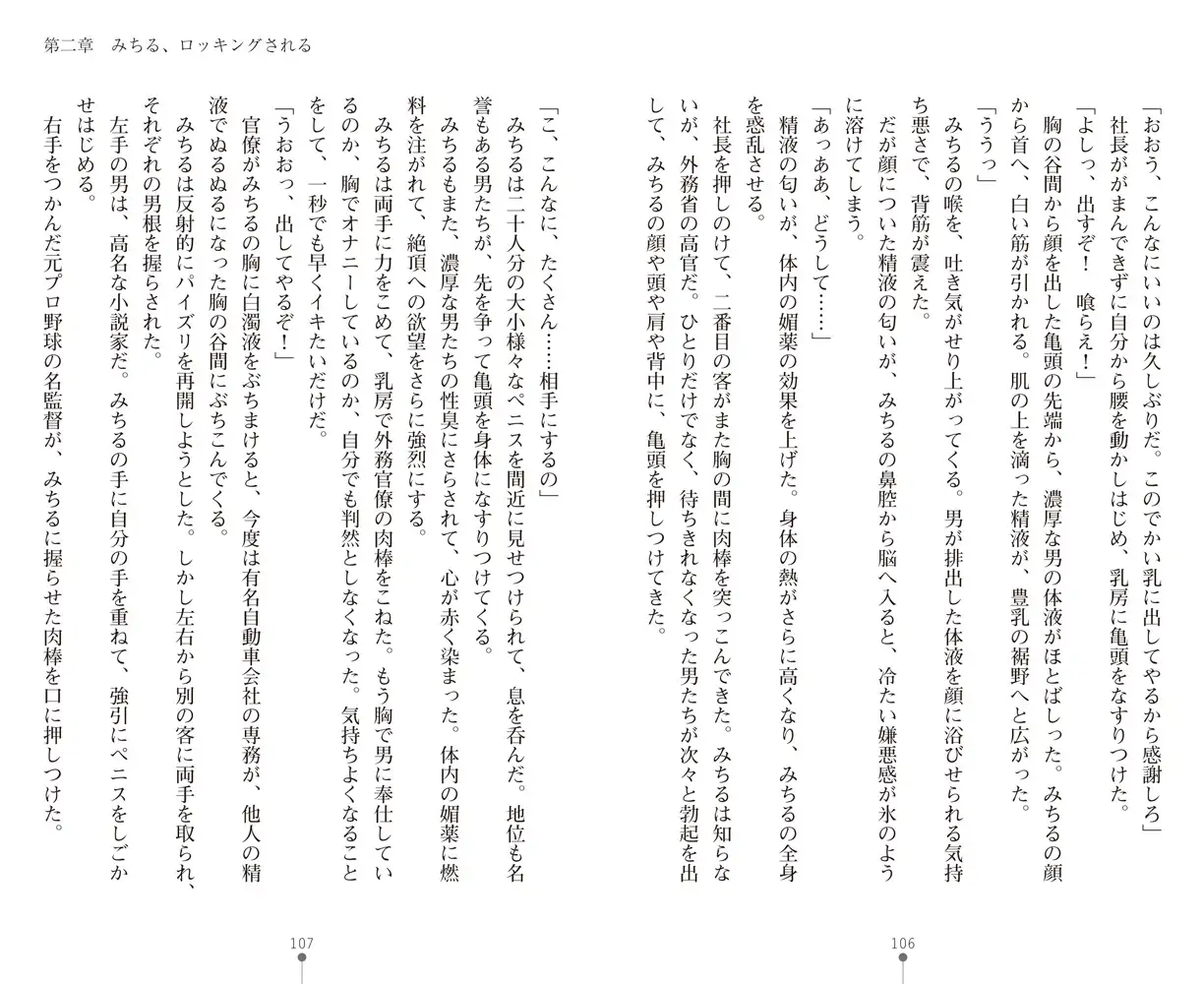 sub-image_31