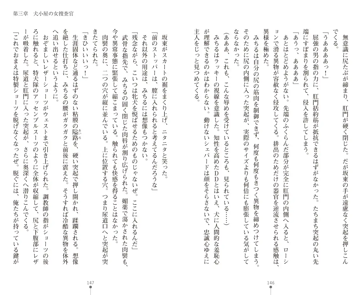sub-image_35