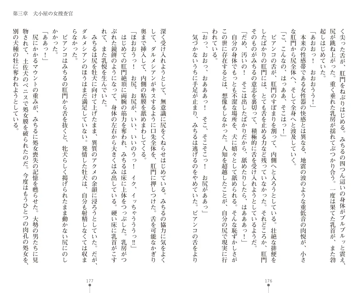 sub-image_38